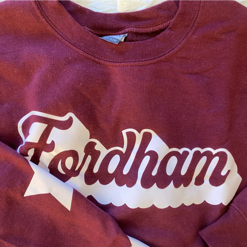 Fordham Cropped Hoodie - Picture 3 of 3